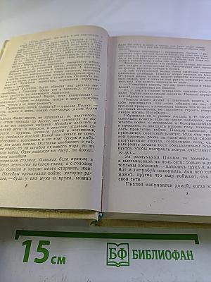 Амур Широкий. Книга III