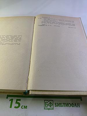 Амур Широкий. Книга III