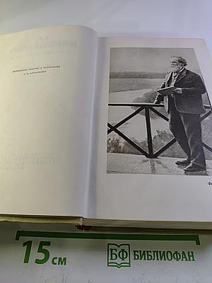 Собрание сочинений. Том десятый: Письма 1879-1921