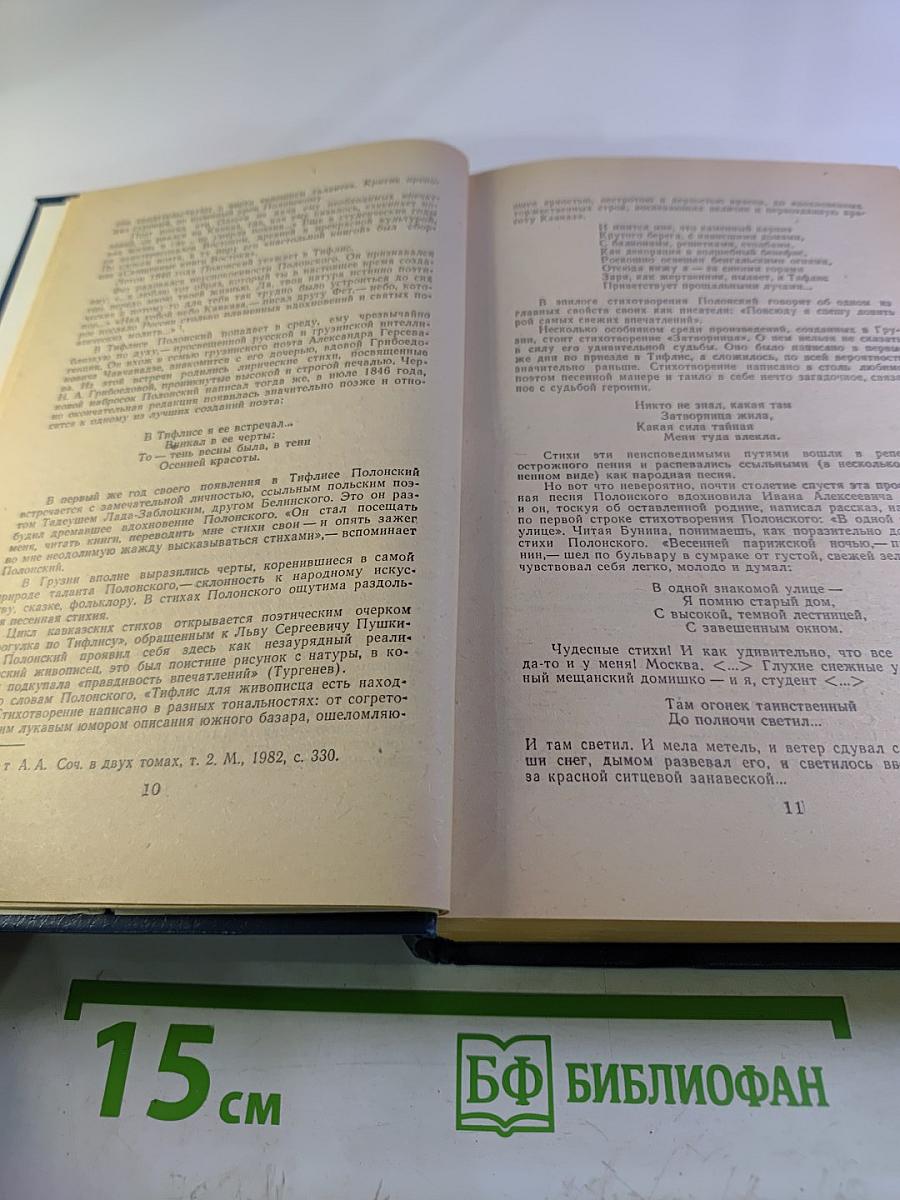 Я.П. Полонский. Лирика. Проза