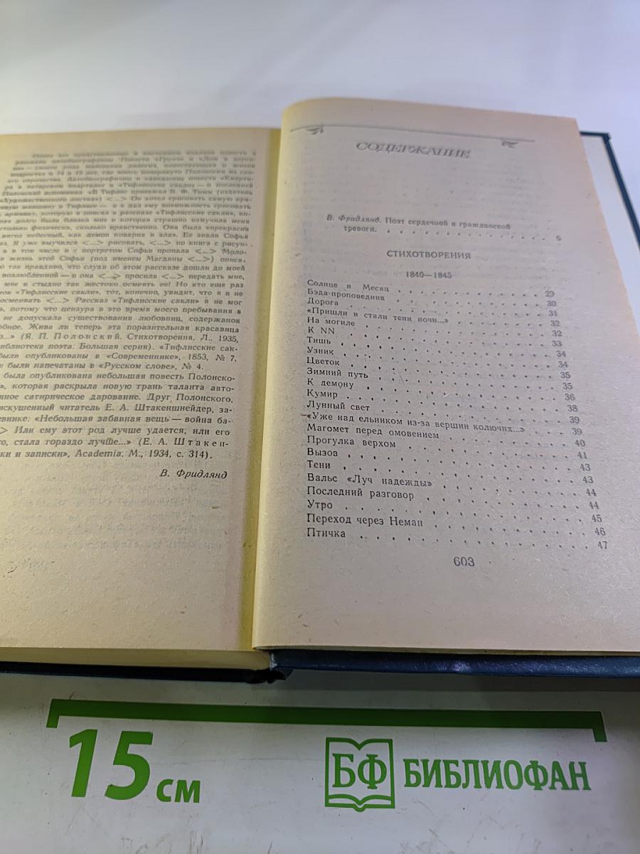 Я.П. Полонский. Лирика. Проза