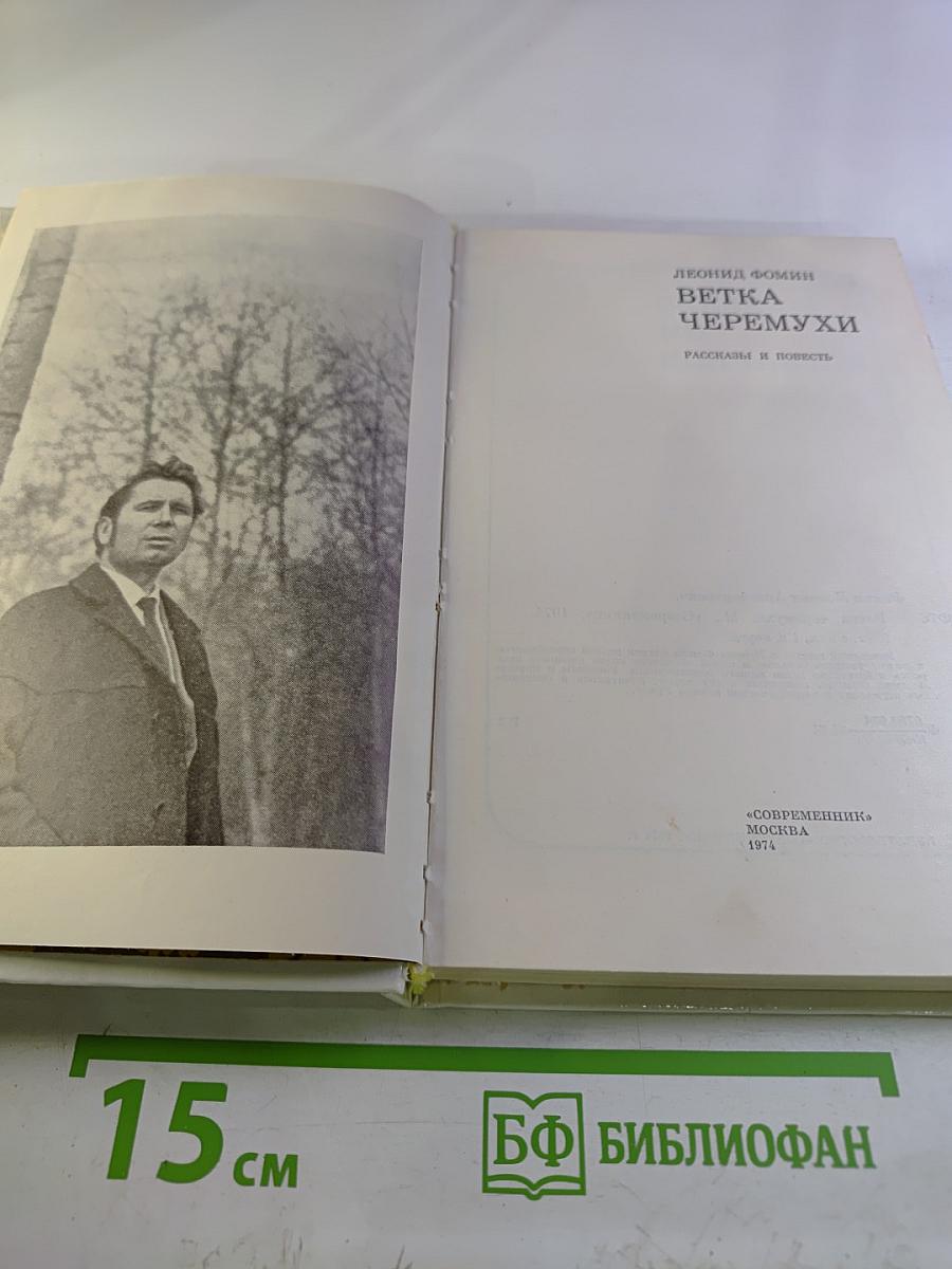 Ветка черемухи