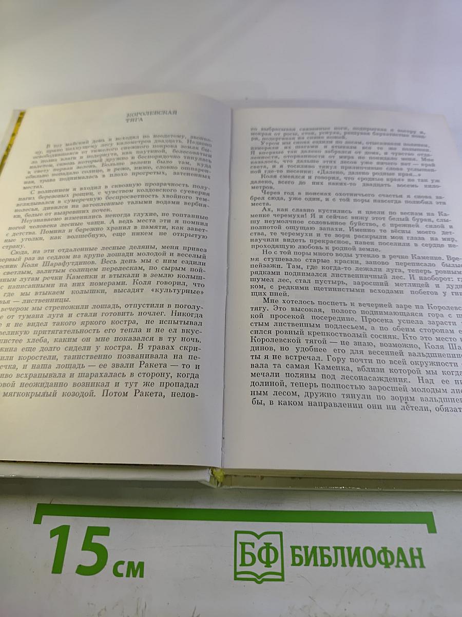 Ветка черемухи