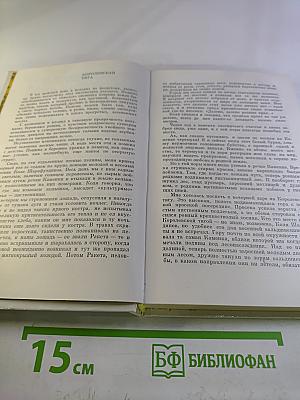 Ветка черемухи