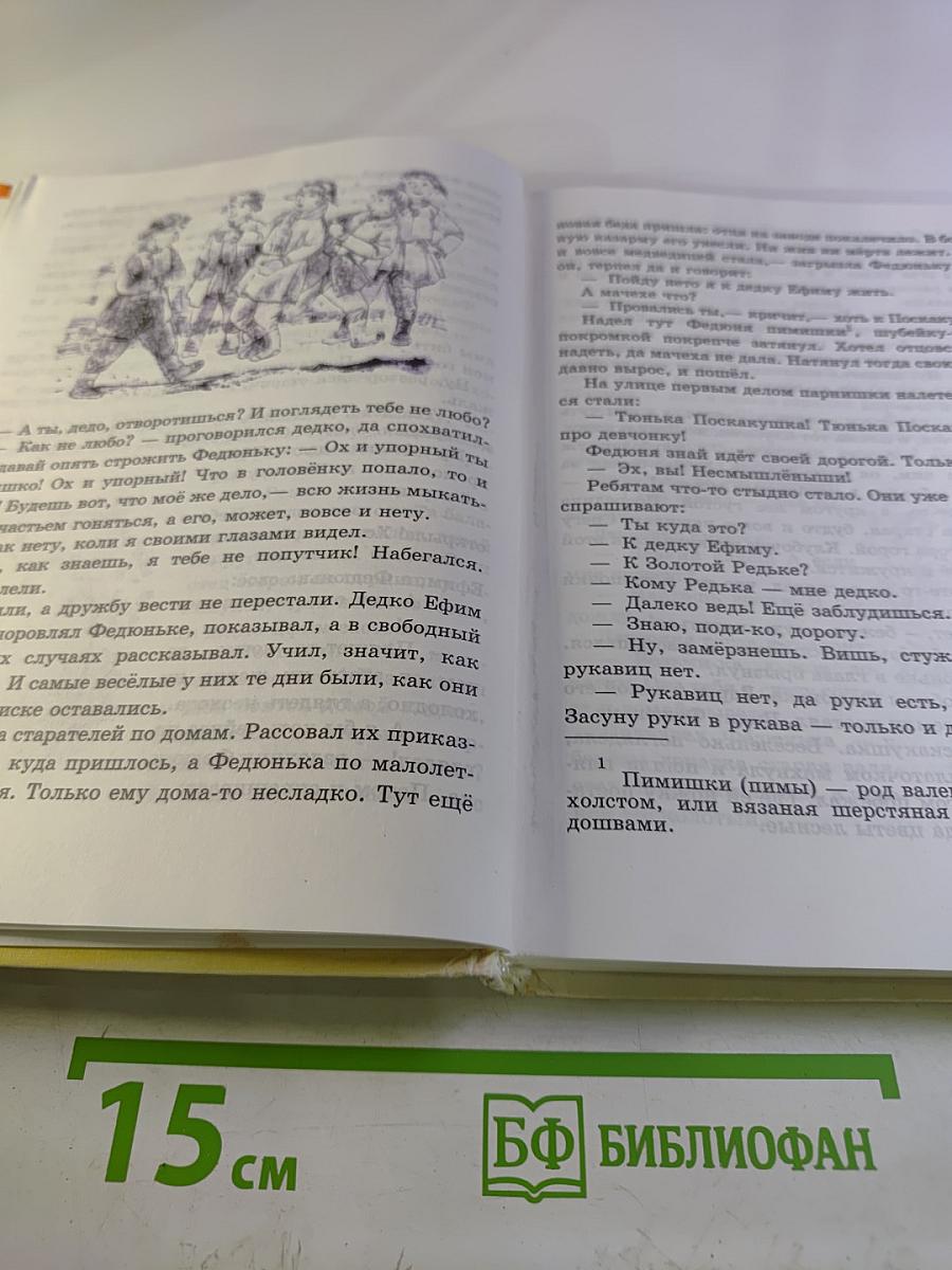 Сказки писателей России. Книга для чтения в начальной школе