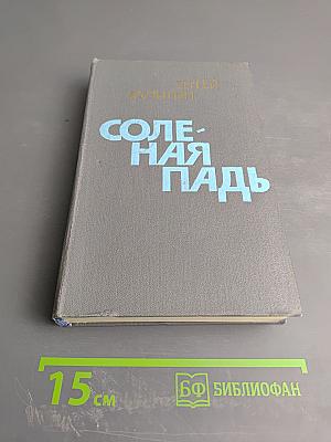 Соленая падь