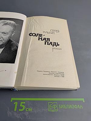 Соленая падь