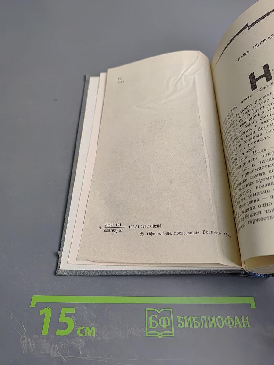 Соленая падь