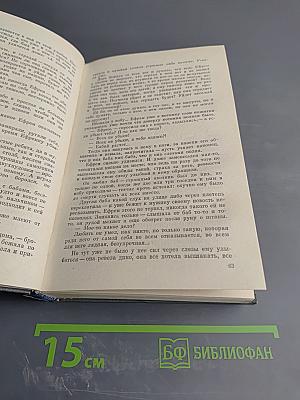 Соленая падь