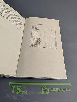 Соленая падь