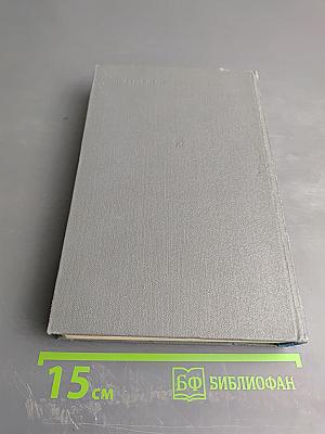 Соленая падь