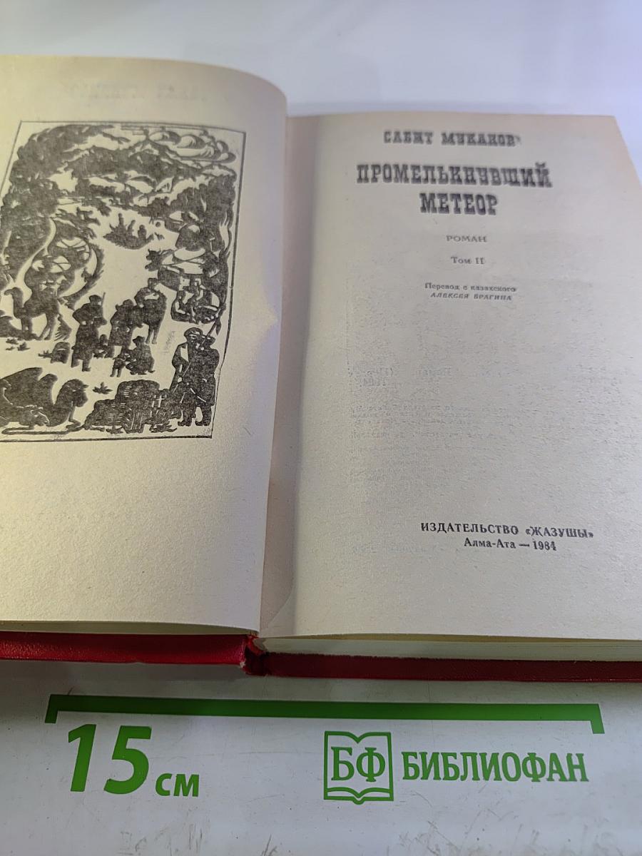 Промелькнувший метеор. Том II