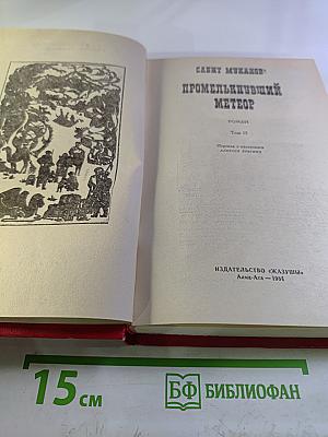 Промелькнувший метеор. Том II