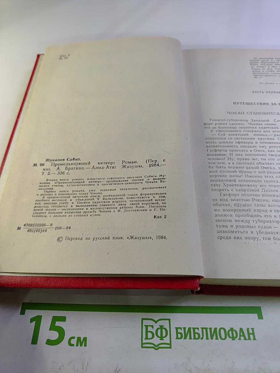 Промелькнувший метеор. Том II