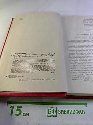 Промелькнувший метеор. Том II