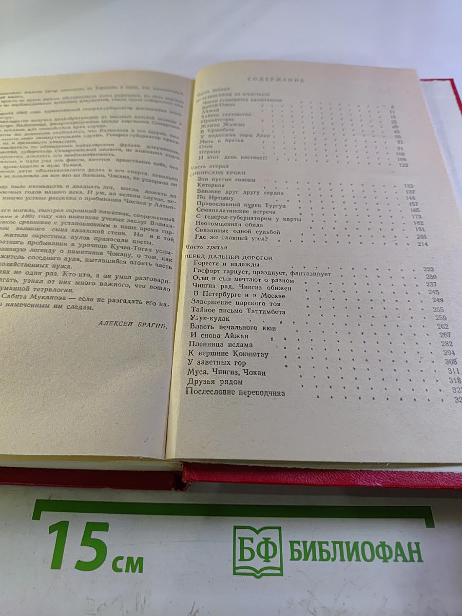 Промелькнувший метеор. Том II