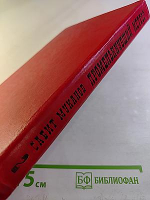 Промелькнувший метеор. Том II