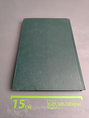 Утро без рассвета. Книга третья. Сахалин
