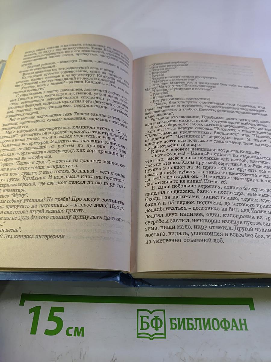 Последний поклон. Том II