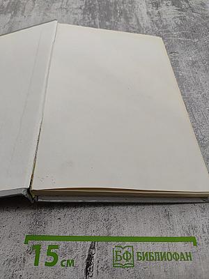 Совет да любовь!