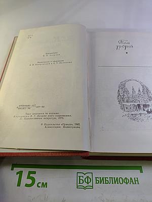 История моего современника. Тома 3-4