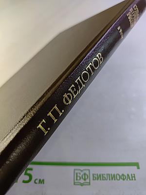 Судьба и грехи России. Избранные статьи по философии русской истории и культуры. 2 том