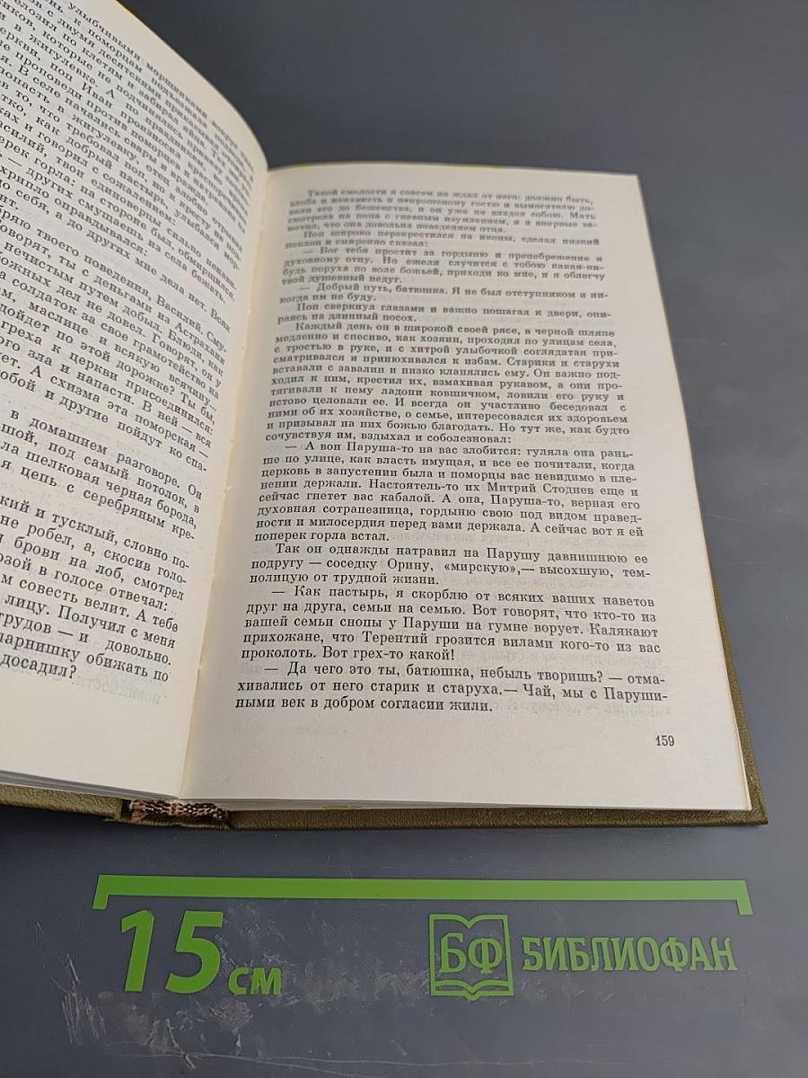 Собрание сочинений. Том пятый: Лихая година, Мятежная юность