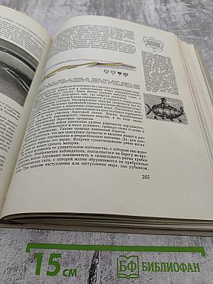 Наука и человечество 1963