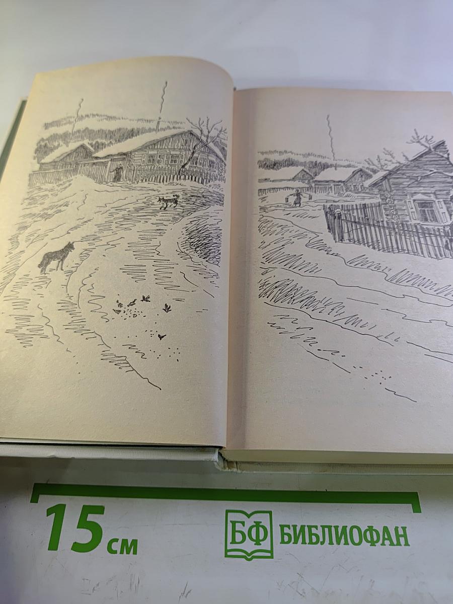 Последний поклон. Том 2. Книга вторая (продолжение) и книга третья