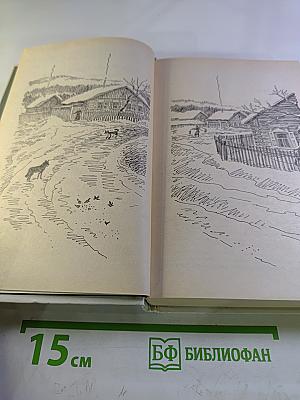 Последний поклон. Том 2. Книга вторая (продолжение) и книга третья