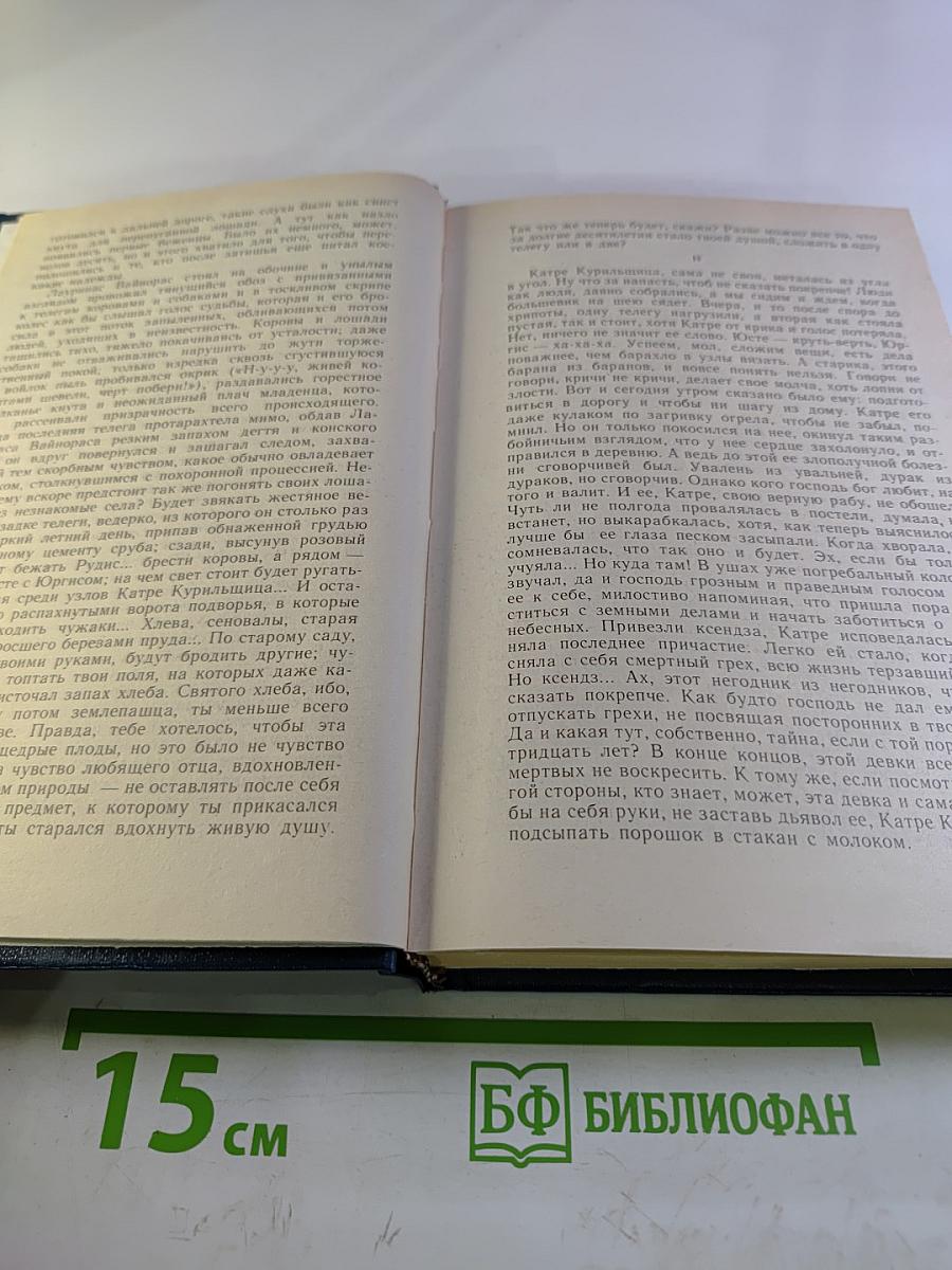 Потерянный кров. Книга третья