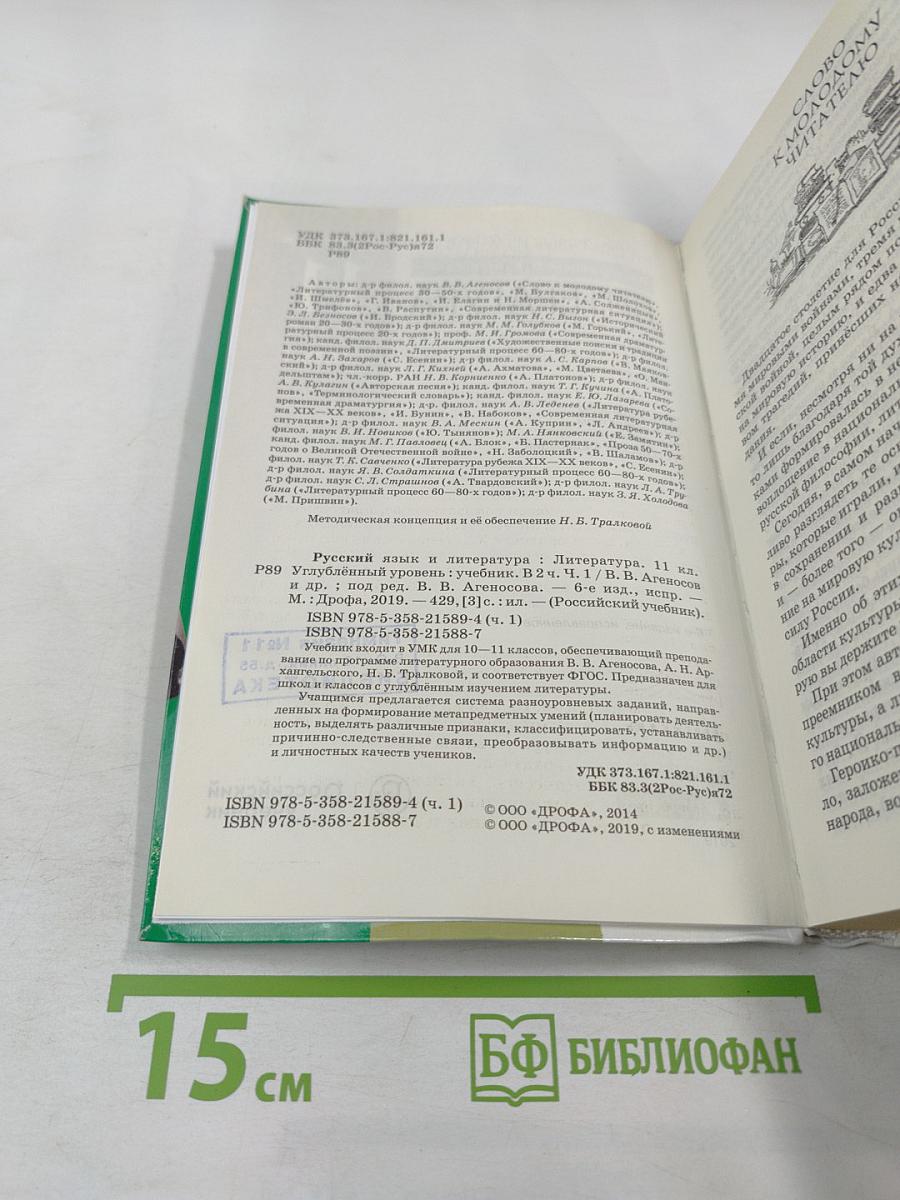 Литература. 11 класс. Часть 1. Углубленный уровень