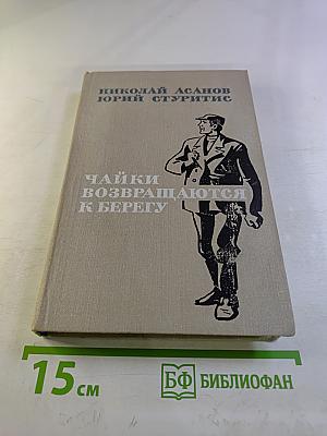 Чайки возвращаются к берегу. Книга вторая