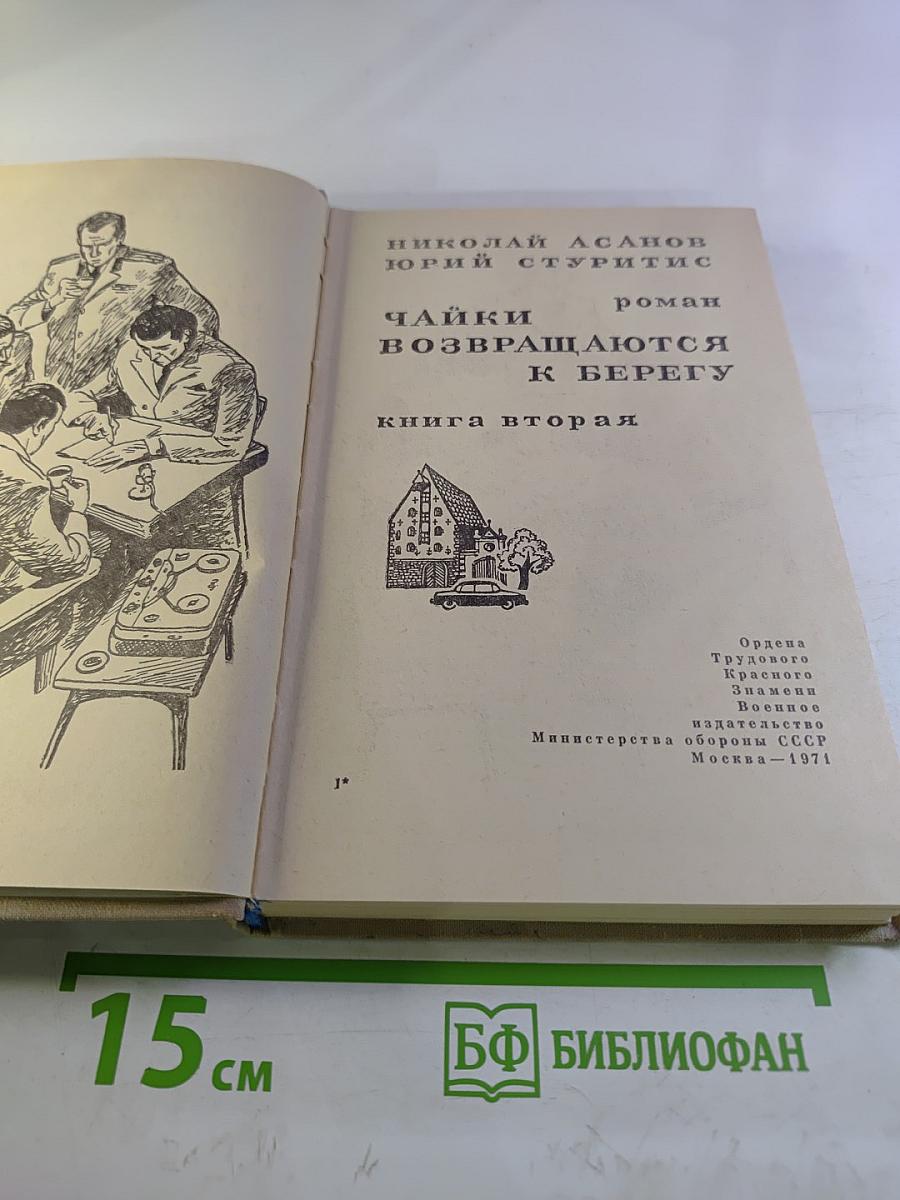 Чайки возвращаются к берегу. Книга вторая