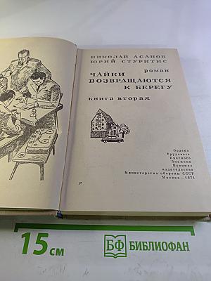 Чайки возвращаются к берегу. Книга вторая