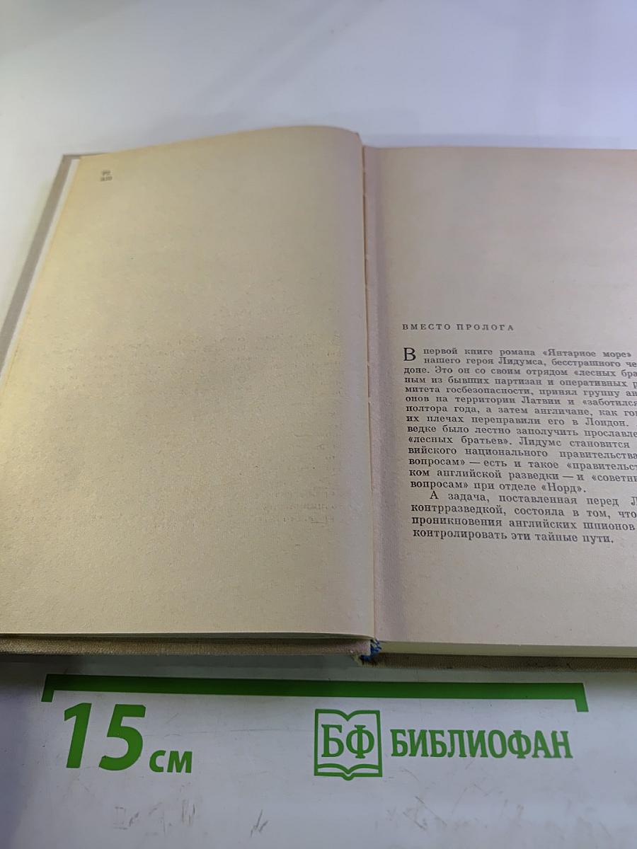 Чайки возвращаются к берегу. Книга вторая