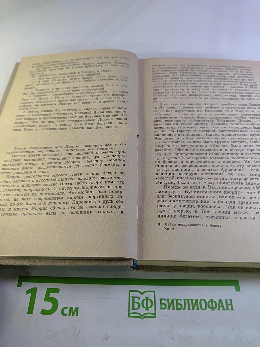 Чайки возвращаются к берегу. Книга вторая