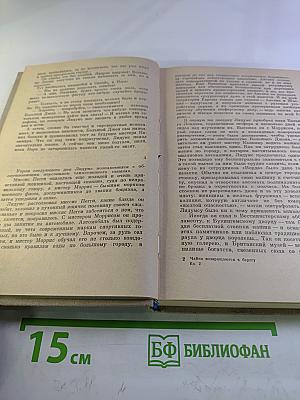 Чайки возвращаются к берегу. Книга вторая
