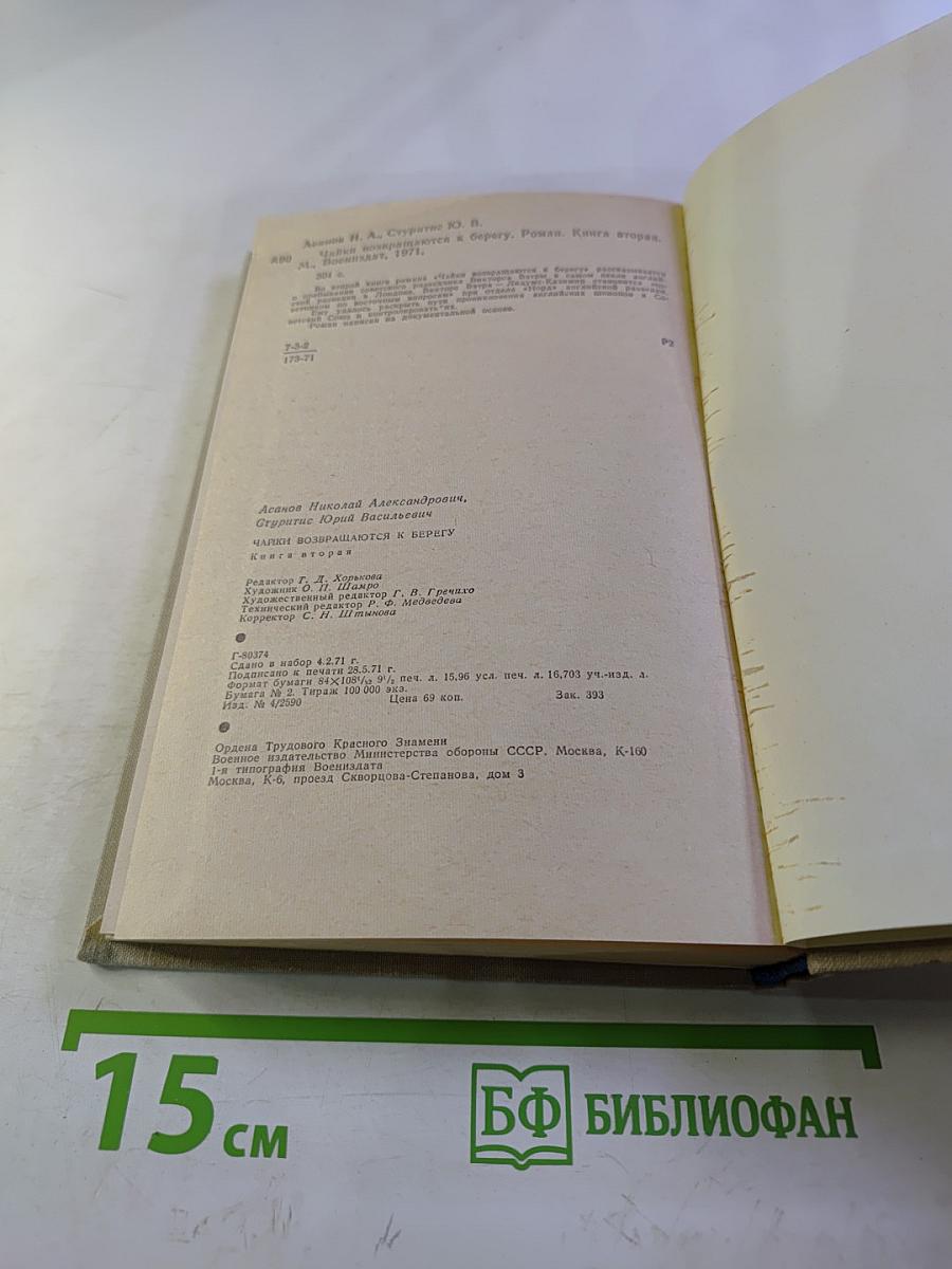 Чайки возвращаются к берегу. Книга вторая