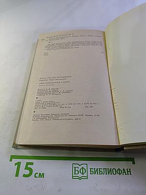 Чайки возвращаются к берегу. Книга вторая