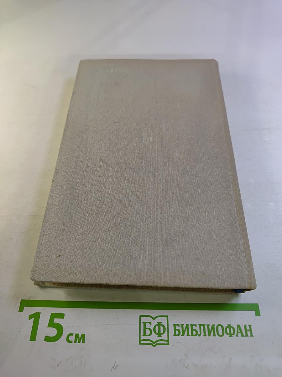 Чайки возвращаются к берегу. Книга вторая