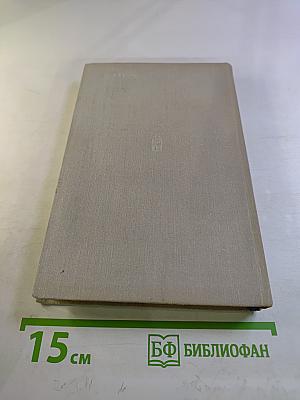 Чайки возвращаются к берегу. Книга вторая