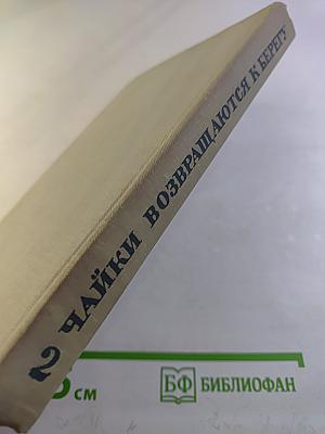 Чайки возвращаются к берегу. Книга вторая