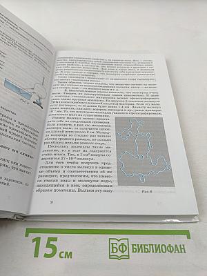 Физика 8 класс