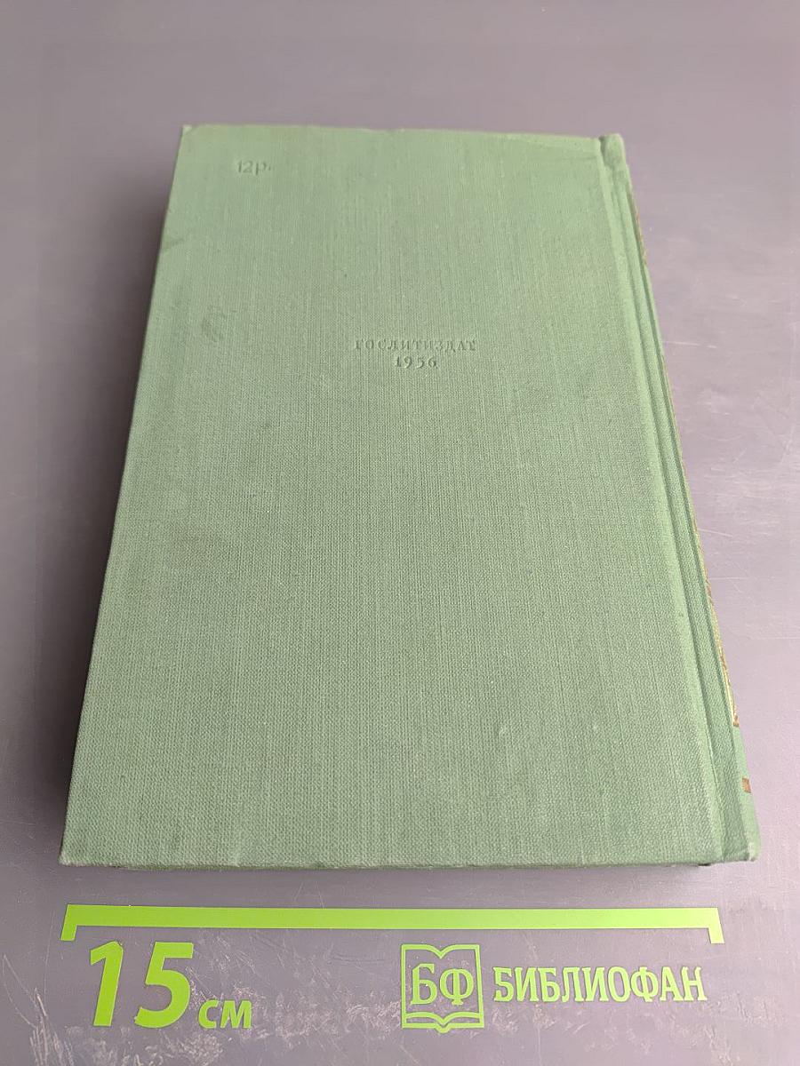 Дневник. Том 3. 1866-1877