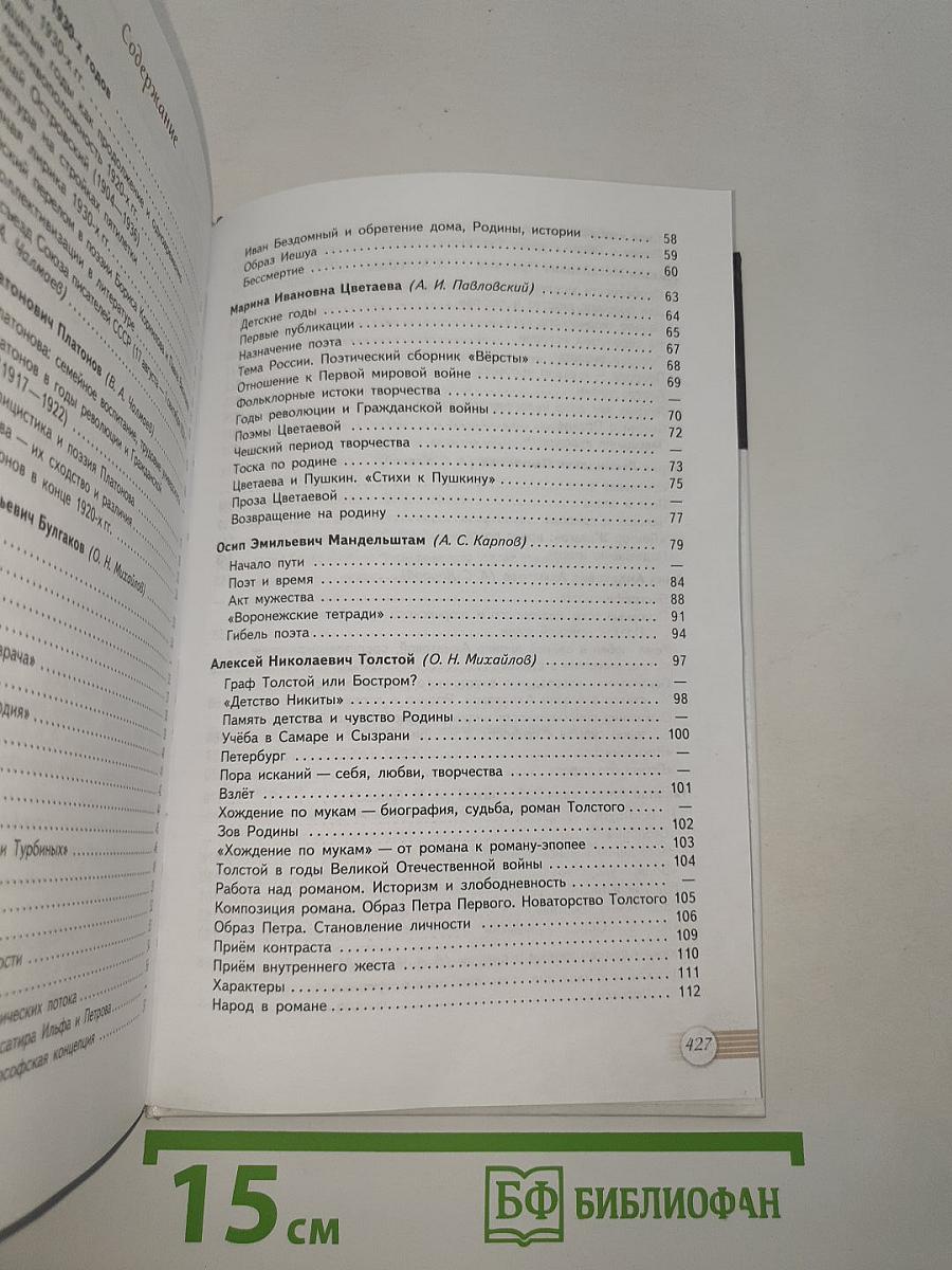 Русский язык и Литература. 11 класс. Литература. Часть 2