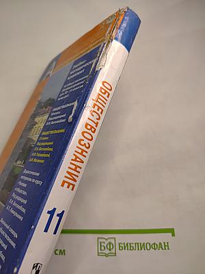 Обществознание 11 класс