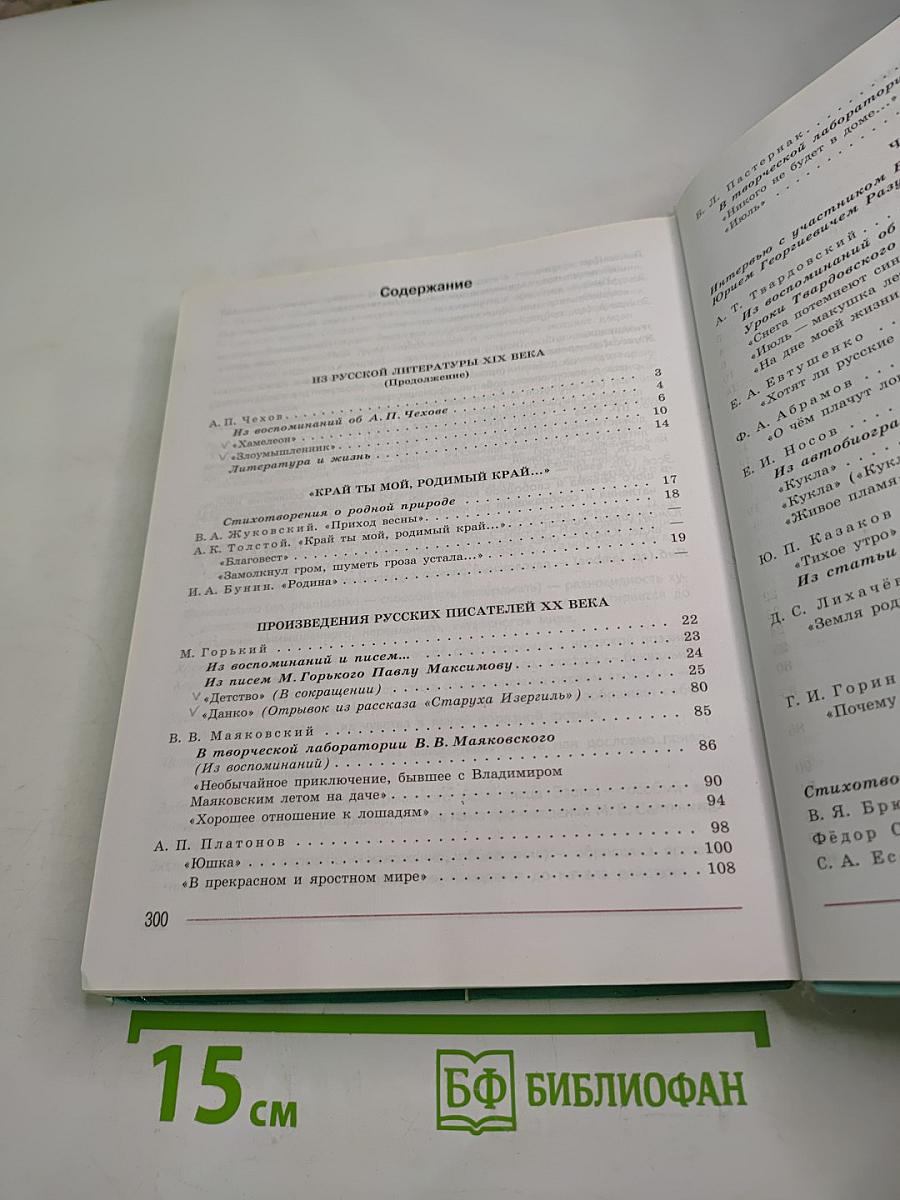 Литература. 7 класс. Часть 2