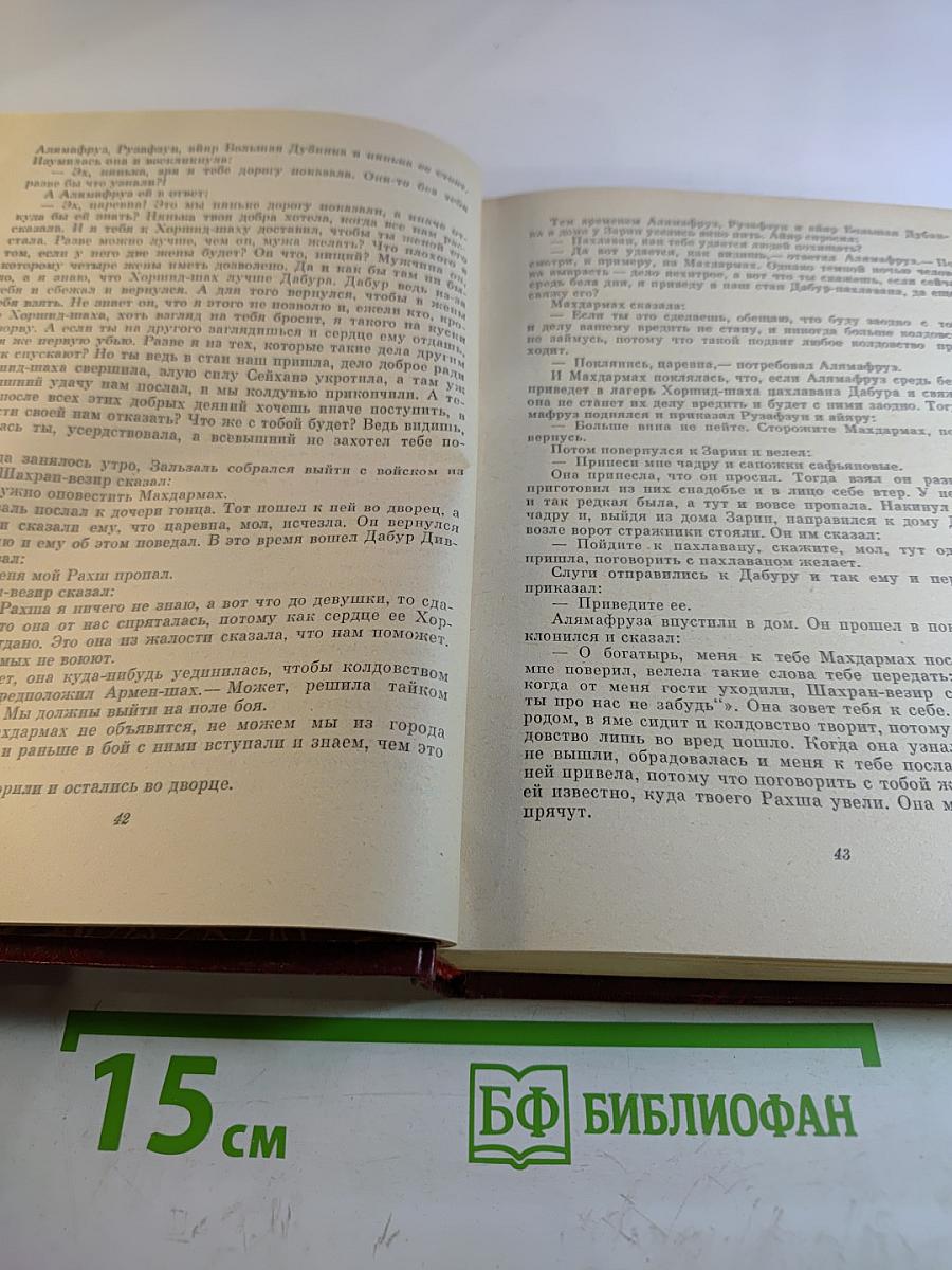 Самак-айяр или Деяния и подвиги красавицы айяров Самака, что царям служил, их дела вершил, был смел да умен. Книга 2