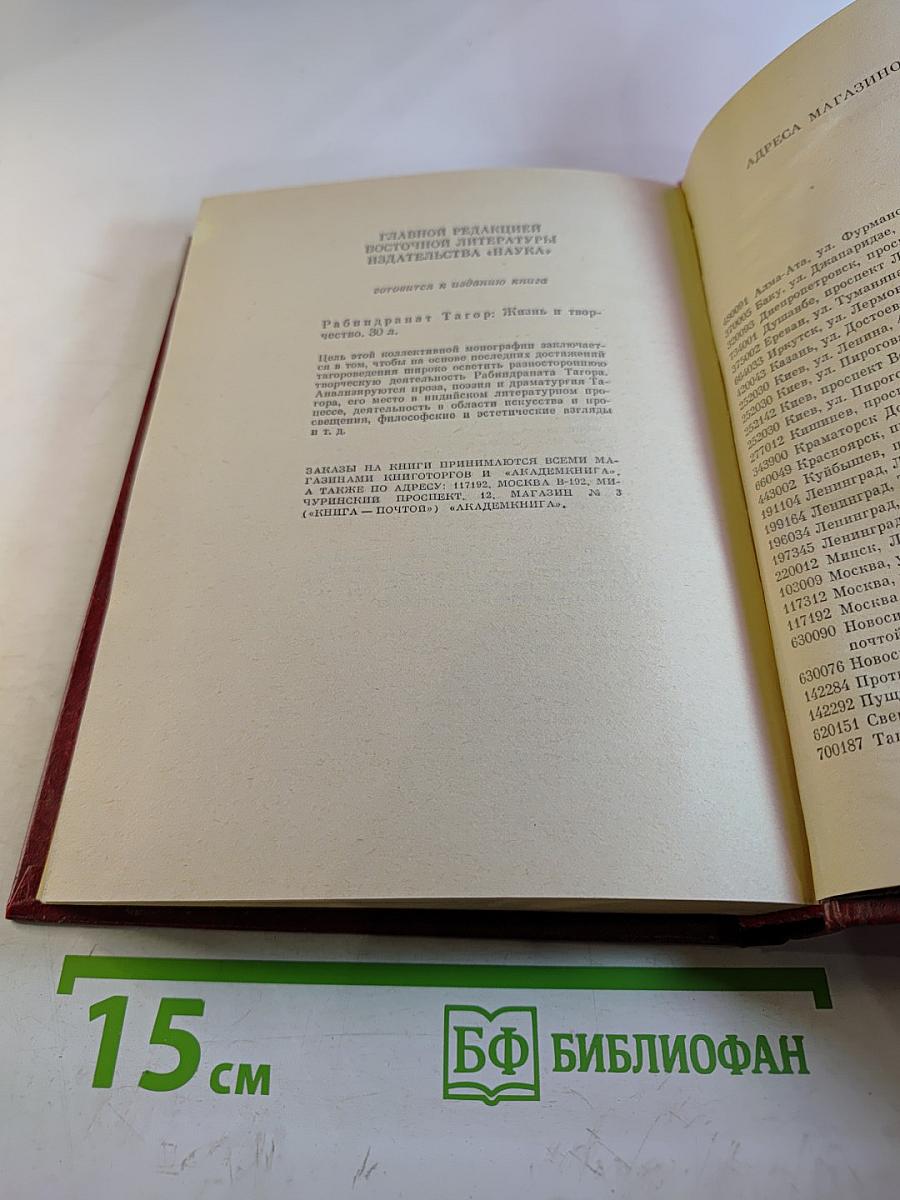 Самак-айяр или Деяния и подвиги красавицы айяров Самака, что царям служил, их дела вершил, был смел да умен. Книга 2